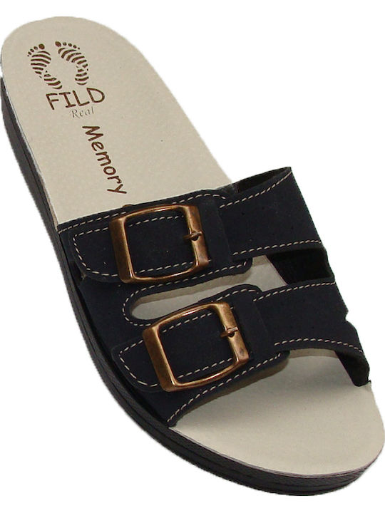 Fild Anatomic
