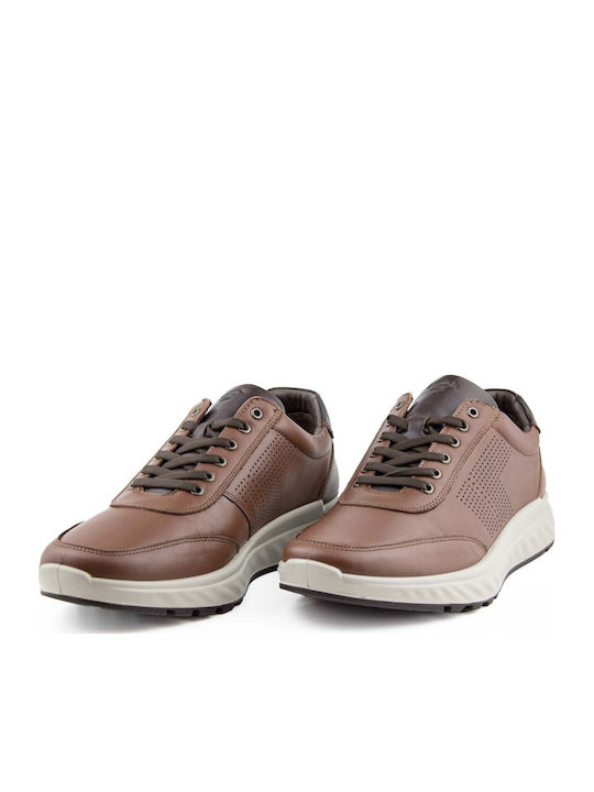 Sneakers Brown