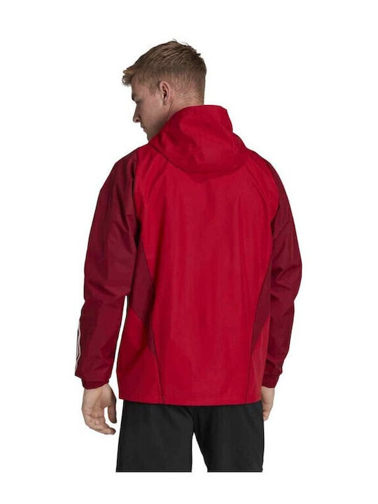 adidas adidas
