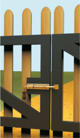 Showood Mâner Ușă 190mm Auriu