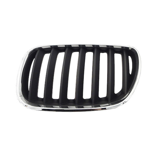 Carner Διακοσμητική Μάσκα Αυτοκινήτου BMW E53 / X5 / X5 (E53)