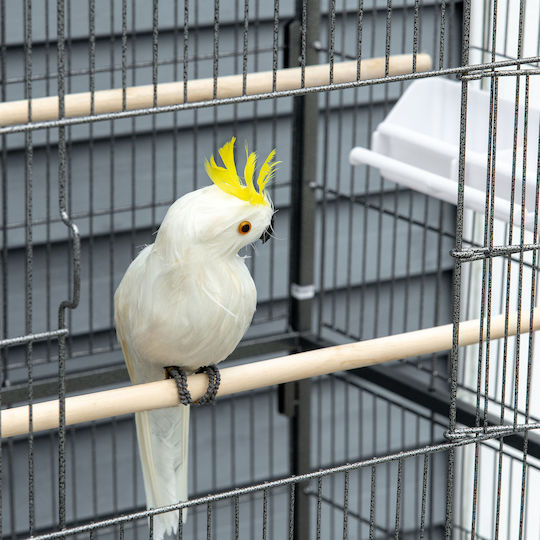 Pawhut Bird Cage Indoor 78x52x132cm.