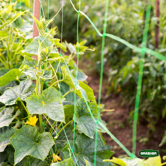Grasher Climbing Plant Net 200cmx5m from Plastic