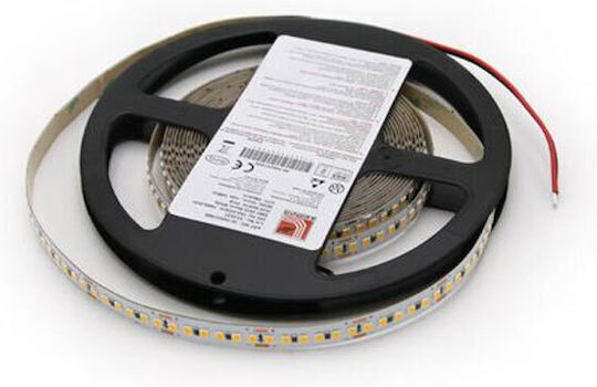 Adeleq LED Strip 24V Natural White Light 5m Type SMD2835