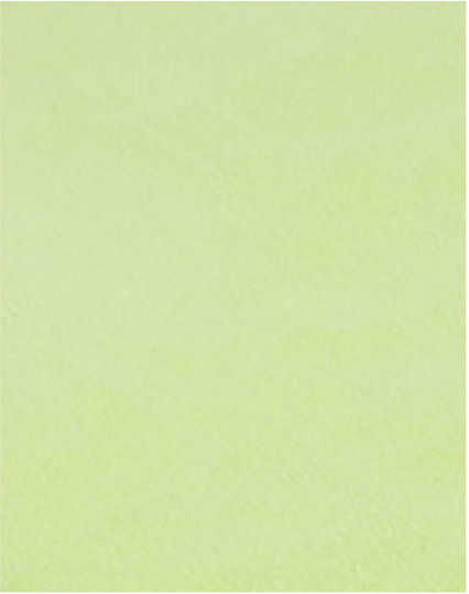 4F Πετσέτα Microfiber Σώματος Πράσινη 130x80εκ.