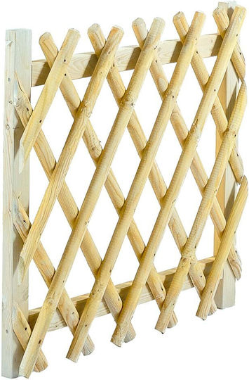 Klappbares Spalier Gartengehölz mit Rhombus Rasterdesign in Beige Farbe 60x100x100cm