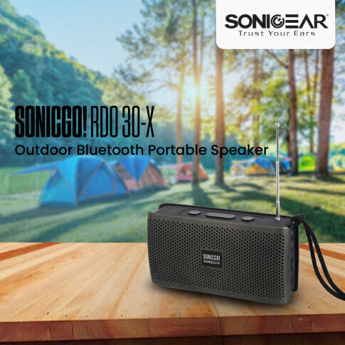 Sonic Gear Sonicgo RDO 30X cu Bluetooth și USB Gri