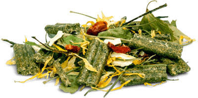 Bunny Nature Hrană pentru Porc indian Nature Shuttle 600gr 1buc