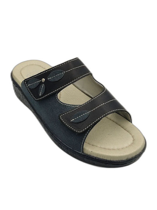 Scholl