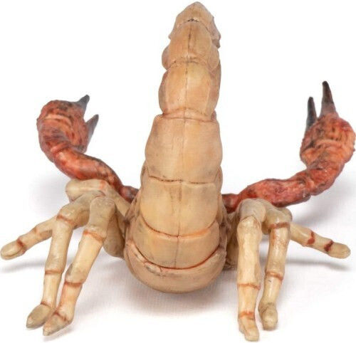 Papo Scorpion 6cm (Miscellaneous Designs)