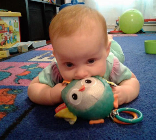 Infantino Pendant Toy for Car Textured Sensory Pal Owl
