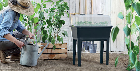 Prosperplast IPE600-S433 Mini Σπορείο 36.8x59.6x75.3cm