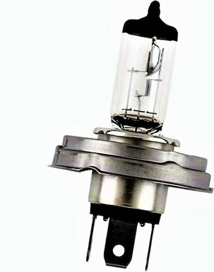 Compass Lămpi Autoturismului H4 Halogen Alb 12V 1buc