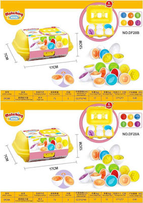 Matching Eggs Educational Toy Knowledge for 3+ Years Old