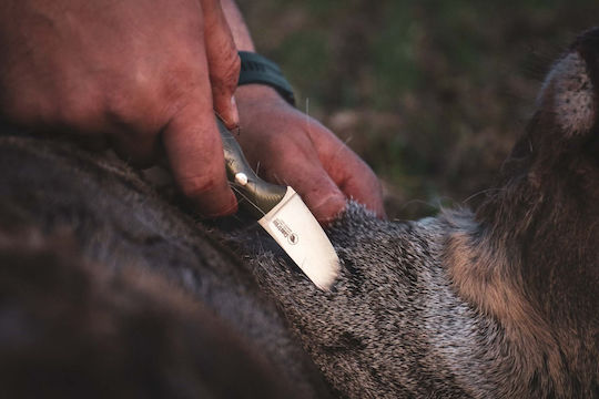 Casstrom Safari Mini Hunter Stabilised G10 Μαχαίρι Πράσινο σε Δερμάτινη Θήκη
