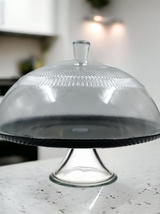 Domumart DOM2850 Γυάλινη