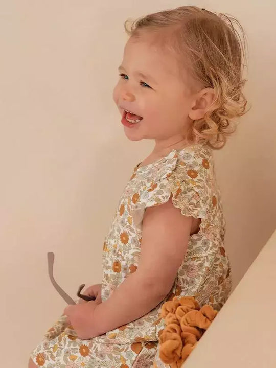 Little Dutch