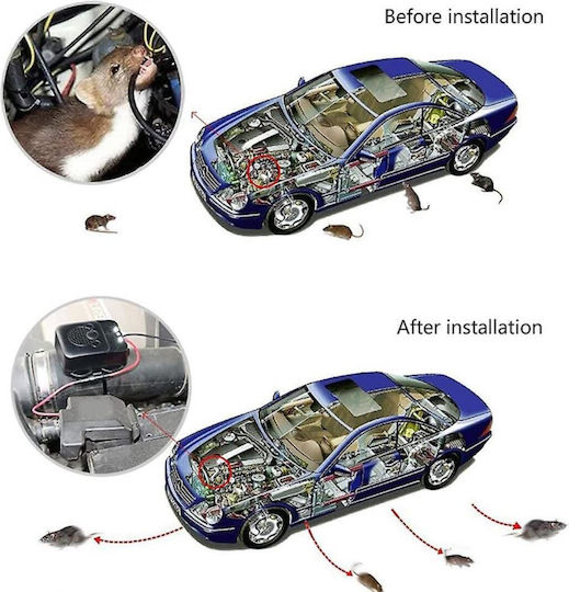 Factory Car Rodent Repellent Black Color