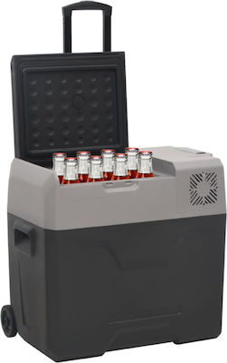 vidaXL Electric Portable Fridge 40lt