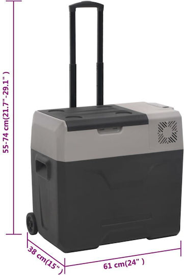vidaXL Φορητό Ψυγείο 50lt Μαύρο