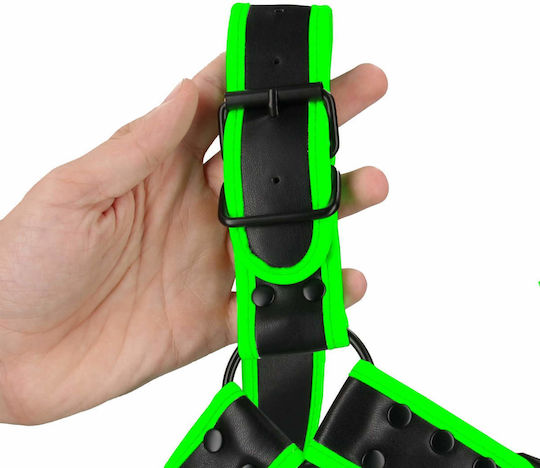 Shots Ouch Glow in the Dark Buckle Bulldog Harness Green