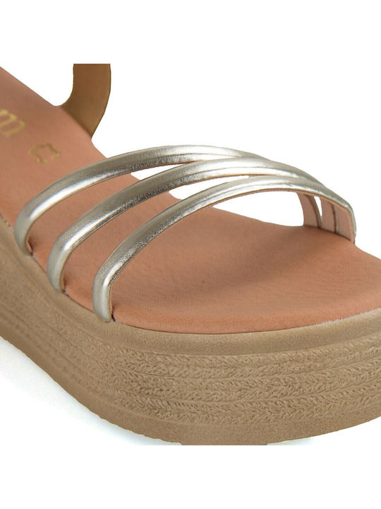 Silia D