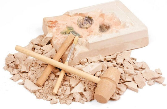 Moses The Large Fossil Excavation Set Educational Game Knowledge for 6+ years old Years Old