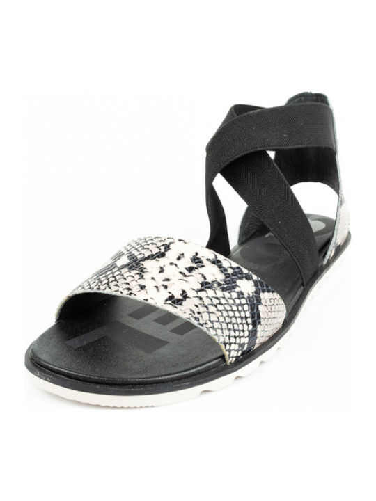 Sorel