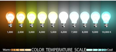 Diolamp Λάμπα LED για Ντουί E27 και Σχήμα G45 Θερμό Λευκό 480lm