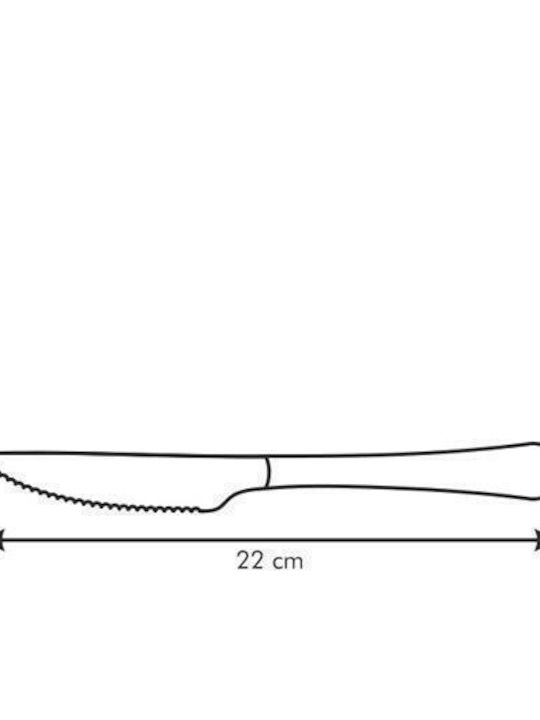 Tescoma Meat Knives of Stainless Steel 22cm 391438 2pcs