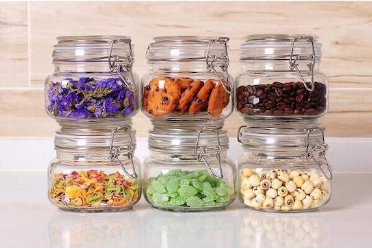 Viosarp General Use Vase with Airtight Lid Glass Transparent 500ml 1 Piece
