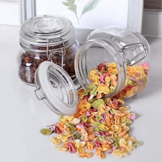 Viosarp General Use Vase with Airtight Lid Glass Transparent 500ml 1 Piece