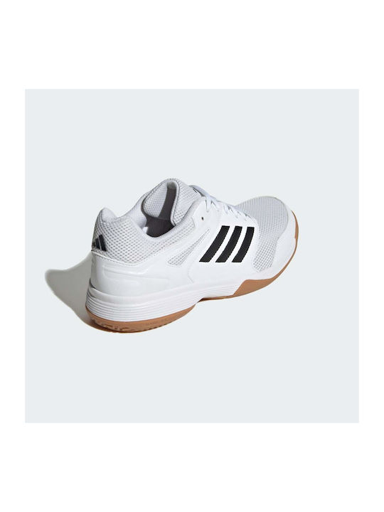 Speedcourt Damen Sportschuhe Volleyball Cloud White / Core Black / Gum