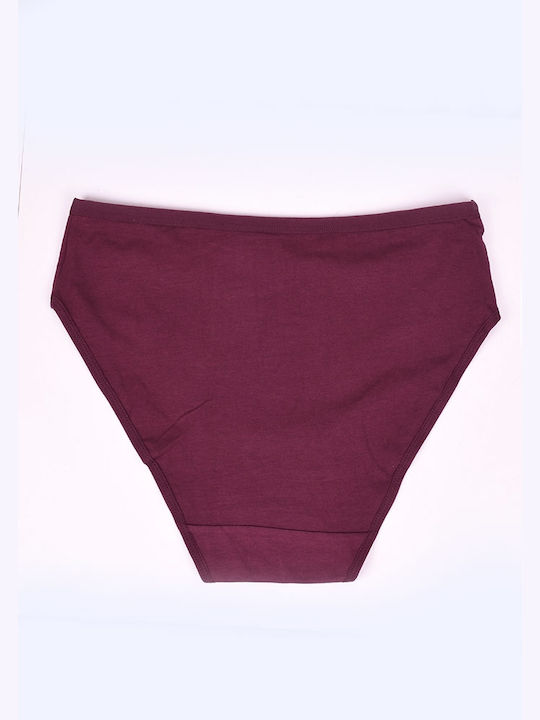 Plus size women's high-waisted briefs Bordeaux