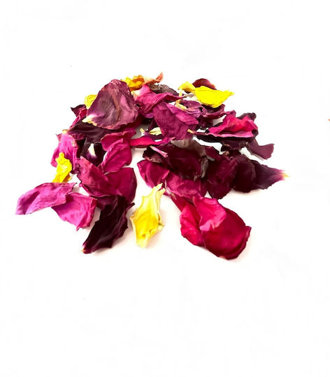 Greenboyz Decorative Flower Petals Multicolored 10gr