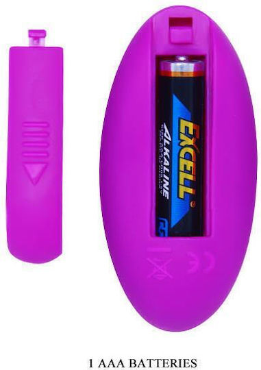 Pretty Love Bradley Mini Δονητής Egg με Απομακρυσμένο Έλεγχο 6.5cm 0603S Dark Purple