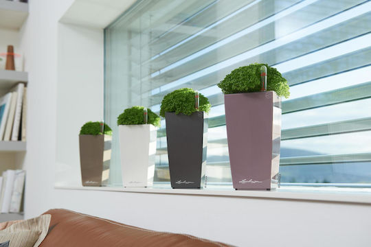 Lechuza Blumentopf Kunststoff