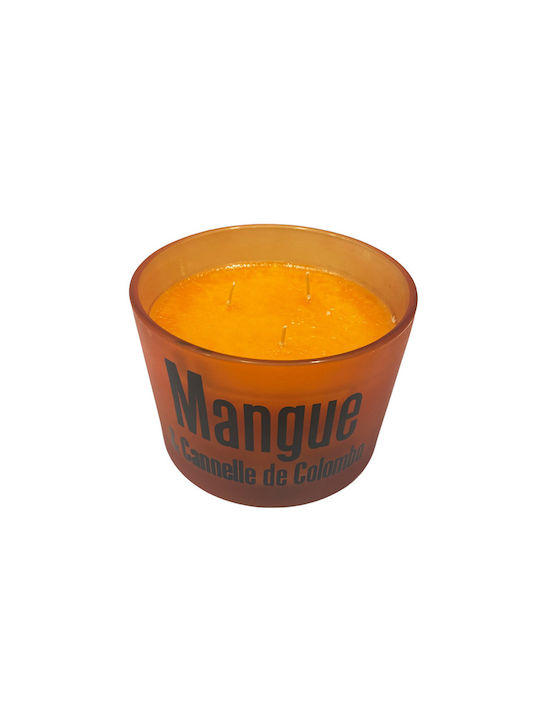 Gala Αρωματικό Κερί σε Βάζο με Άρωμα Mango & Κανέλα