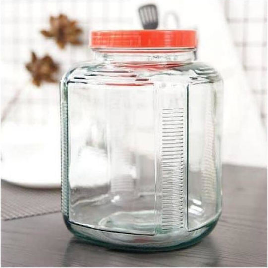 Viosarp General Use Glass Transparent Vase with Lid 1000ml