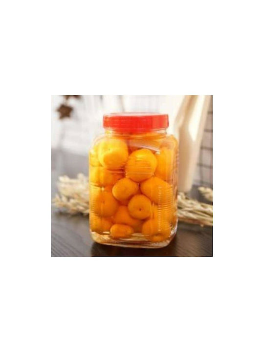 Viosarp Vase General Use with Lid Glass Transparent 1950ml