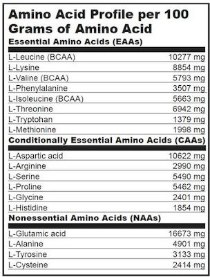 Biotech USA Iso Whey Zero With Glutamine & BCAAs Whey Protein Gluten & Lactose Free with Flavor Chocolate Toffee 908gr