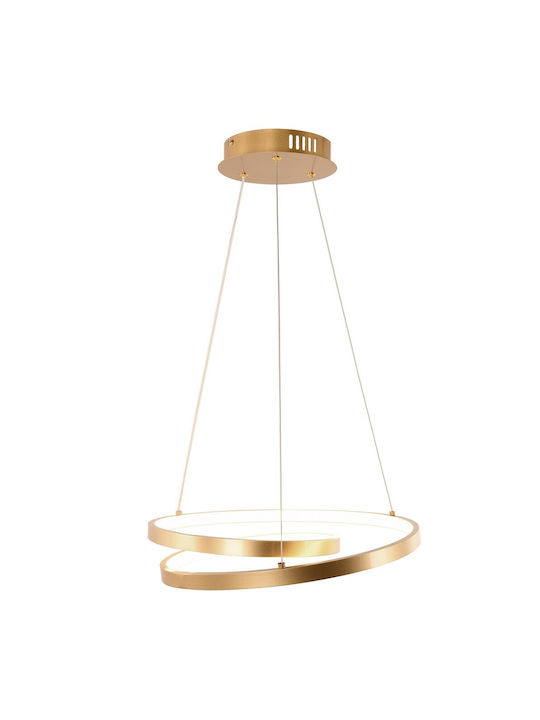 Fan Europe Pendant Light LED with Warm to Cool White Light Gold