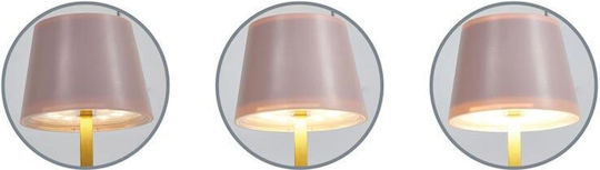 Click Plastic Table Lamp LED with Pink Shade and Gold Base 2pcs