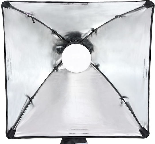 vidaXL Studio-Fotografie-Kit Set Lichter Hintergrund & Reflektor Beleuchtungsset für Studio