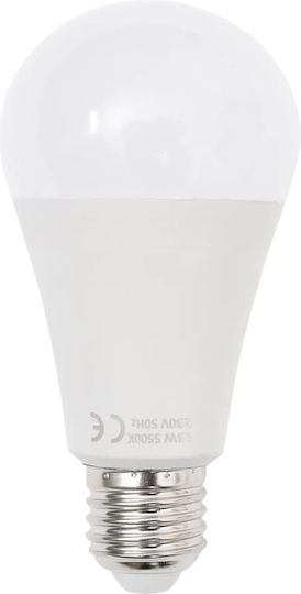 vidaXL Studio-Fotografie-Kit Set Lichter & Hintergrund Beleuchtungsset für Studio