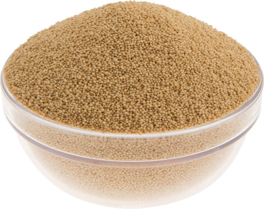 To Poikilopoleio Helichrysum Semințe 250gr