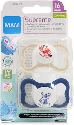 Mam Pacifiers Silicone Fox - Bear White-Blue for 16+ months 2pcs