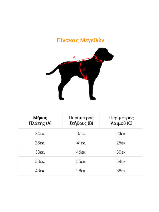 Glee Hundeshirts in Orange Farbe XL
