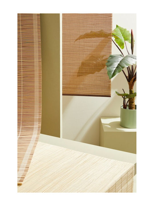Bizzotto Shade Blind Bamboo in Beige Color L150xH260cm