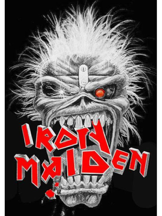 Takeposition Women's T-shirt Iron Maiden Gray